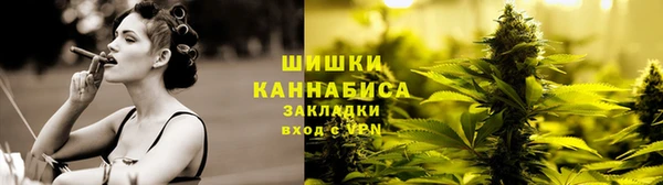 спайс Алексин