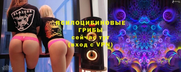 спайс Алексин