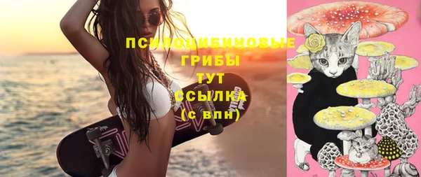 Альфа ПВП Алексеевка