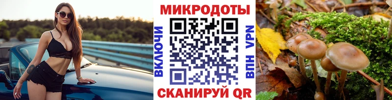 как найти наркотики  Волгоград  Псилоцибиновые грибы MAGIC MUSHROOMS 
