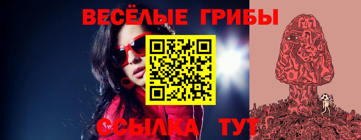 Галлюциногенные грибы прущие грибы Волгоград